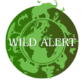 Wild Alert Logo & Favicon Image